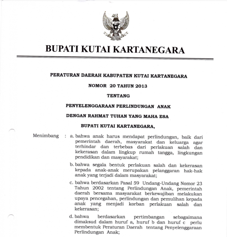 Cover Penyelenggaraan Perlindungan Anak 2013