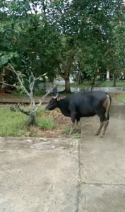 Screen-Shot-2023-07-11-at-21.33.06