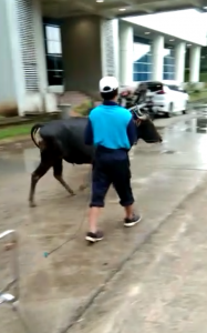 Screen-Shot-2023-07-11-at-21.34.11