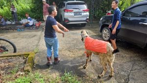 WhatsApp-Image-2023-07-04-at-14.28.22