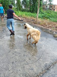 WhatsApp-Image-2023-07-04-at-14.28.23