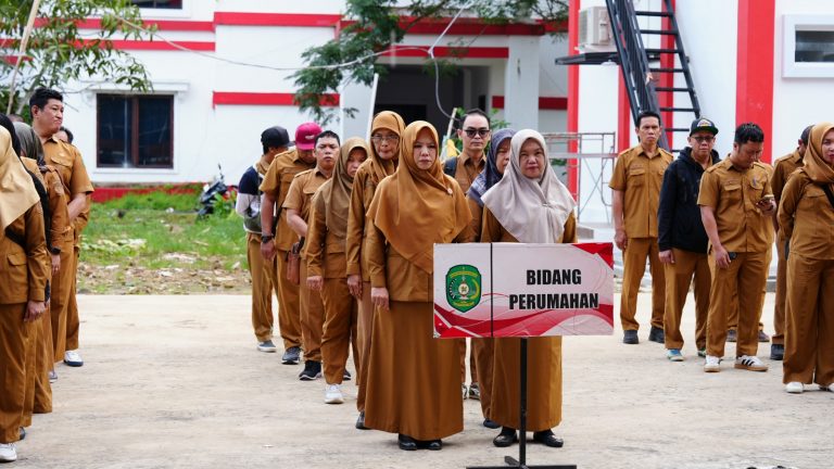 WhatsApp Image 2026-02-11 at 11.24.18