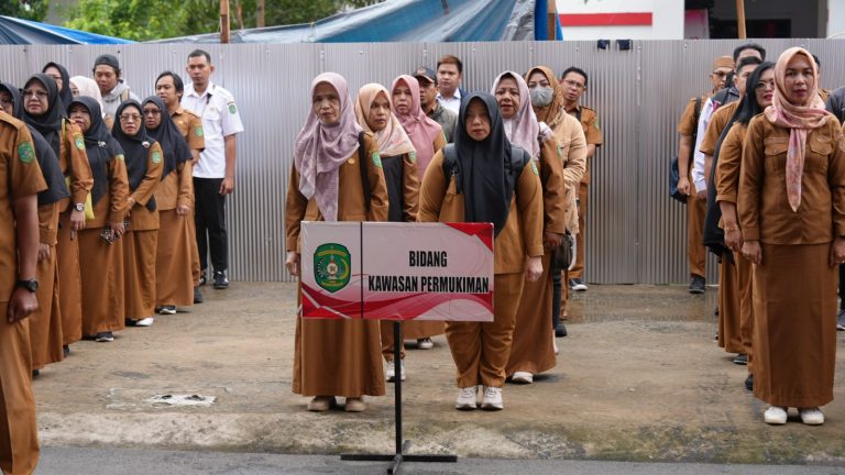 WhatsApp Image 2026-02-11 at 11.25.27